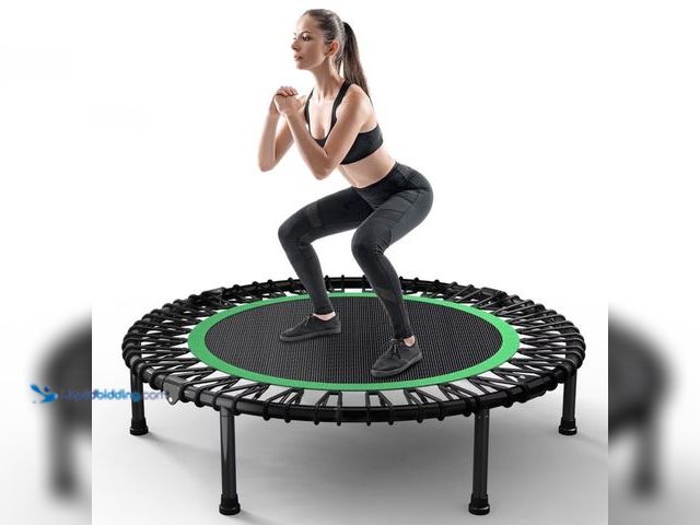 Lot 49-3566947 - ZENOVA 40 Rebounder Trampoline for Adults with Bungee Cords, Portable Fitness Exercise Mini Trampoli...