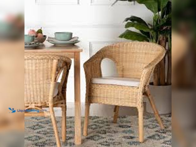 Lot 49-5475496 - bali & pari Abbey Natural Rattan Dining Chair. Model # 248-14054-HD. Unused