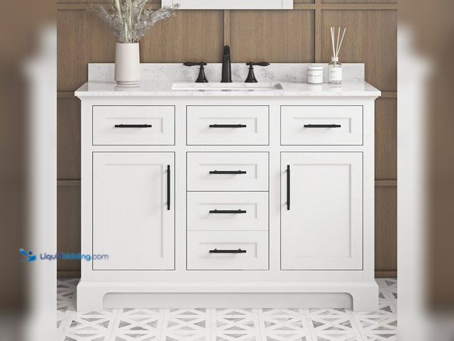Lot 49-5509953 - Home Decorators Collection Doveton 48 in. Single Sink Freestanding White Bath Vanity with White Engi...