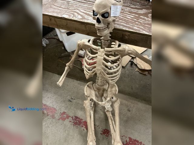 Lot 49-5572302 - 6ft Skelleton, unused