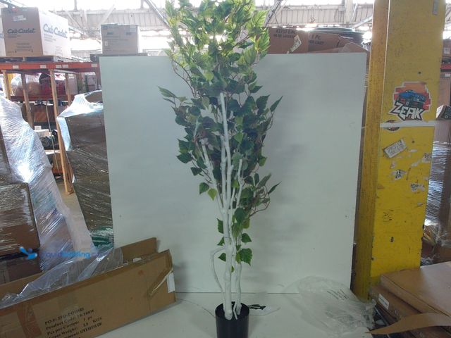 Lot 49-1556591 - Birch Artificial Tree - 60-Inch Potted Faux Plant with Natural Looking Leaves for Office or Home Dec...