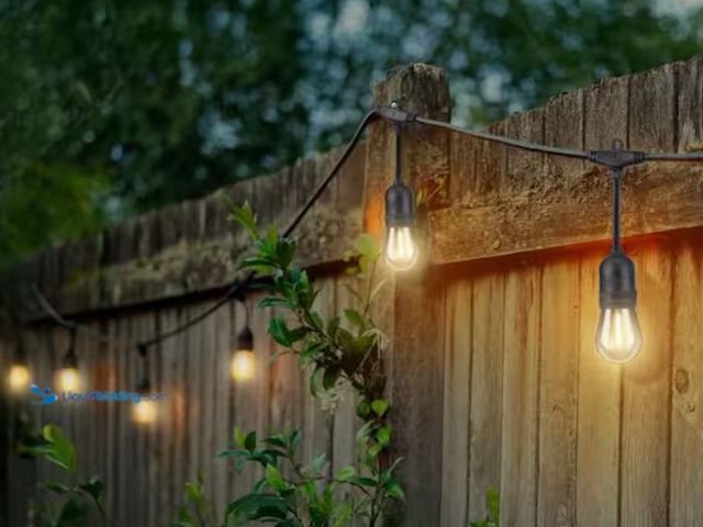 Lot 49-3614784 - Hampton Bay 24-Light 48 ft. Indoor/Outdoor Plug-In Filament LED S14 Edison Bulb String-Light, Model ...
