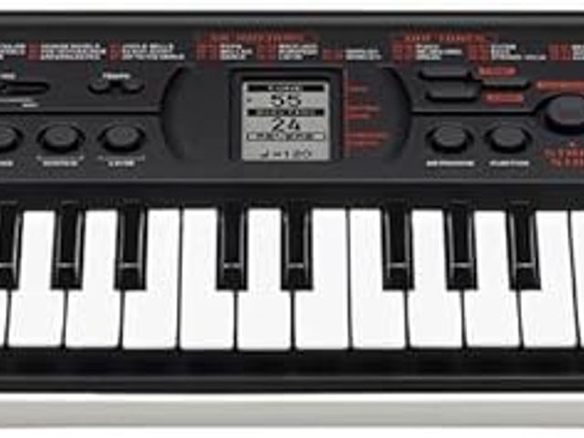 Lot 49-3482737 - Casio Casiotone SA-81 – Compact Keyboard with 100 Tones & 50 Rhythms | Fun for Beginners | Great for...