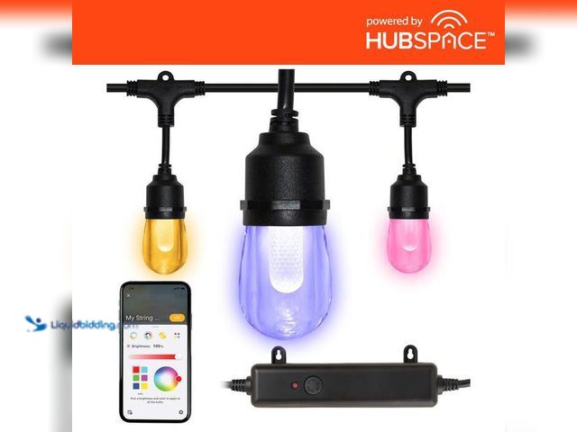 Lot 49-1515961 - Hampton Bay Indoor/Outdoor 12-Light 24 ft. Smart Plug-in Edison Bulb RGBW Color Changing LED String ...