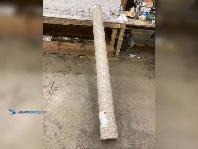 Lot 49-3537276 - Large Area Rug Item is used