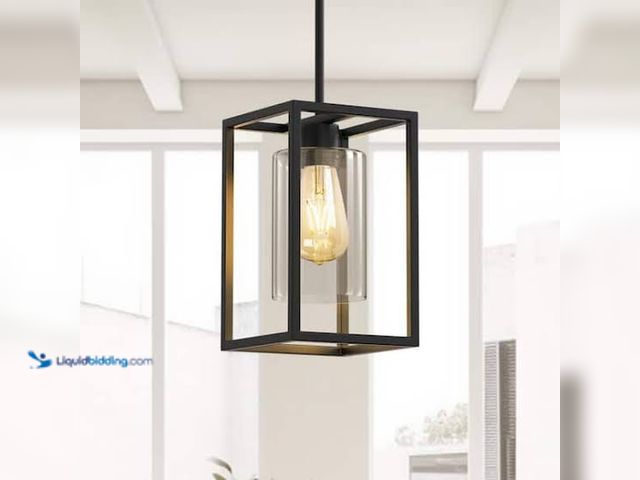 Lot 49-5544268 - Progress Lighting Black Cage Pentant Light. Used