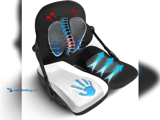 Lot 49-3470172 - Lumbar Support Pillow for Office Chair | Adjustable, Doctor-Developed Memory Foam Back Seat Cushion ...