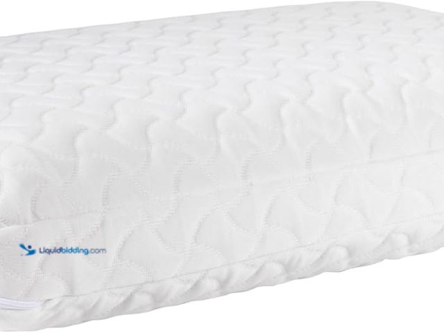 Lot 49-5453148 - Tempur-Pedic TEMPUR-Cloud Pillow for Sleeping, Standard, White. [Model: B07CMKX3C7] Used