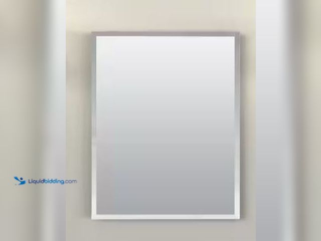 Lot 49-1568994 - Glacier Bay 16 in. W x 20 in. H Rectangular Recessed or Surface Mount Frameless Beveled Mirror Medic...