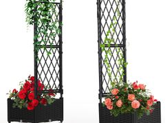 Lot 49-3524860 - undefined