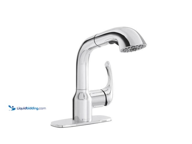Lot 49-5449633 - Glacier Bay
Dunning Single-Handle Pull-Out Laundry Utility Faucet with Dual Spray Function in Chrom...