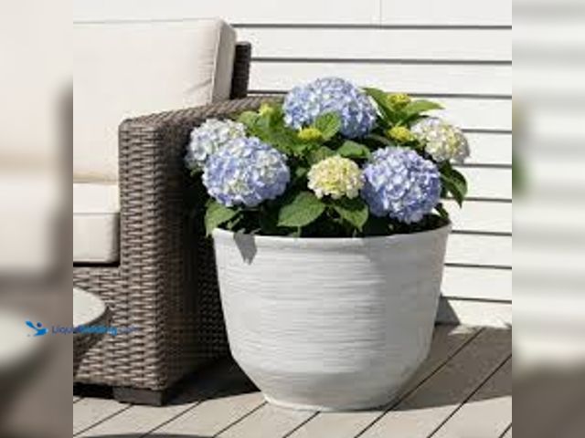 Lot 49-5539955 - QTY 3 - Round Resin Planter 22.1" Diameter. Model: 1807172. Unused