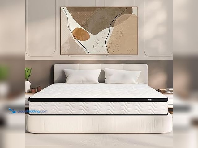 Lot 49-5448864 - Queen Mattress 12 Inch | Hybrid Mattresses Queen Size in a Box | Medium Firm Memory Foam and Individ...