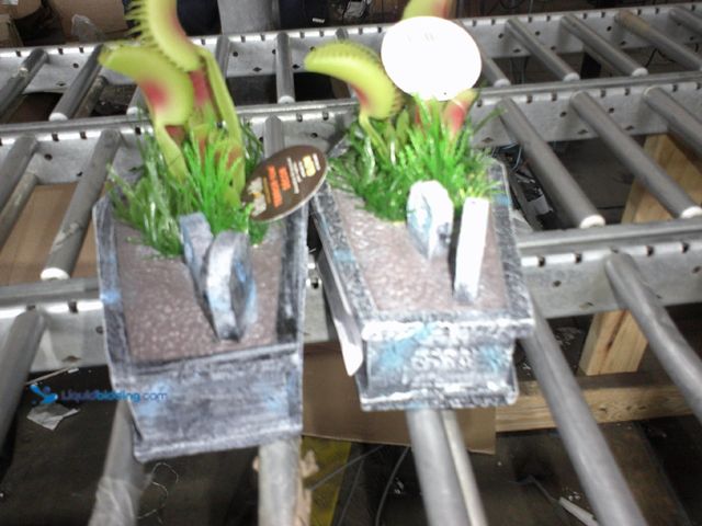 Lot 49-1517428 - (2) TERROR-IUM Graveyard Coffin Décor, Model # 127157739985, Unused.  Ref#MTMED0624