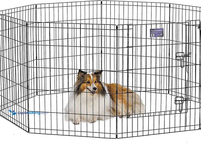 Lot 49-5408636 - MidWest Homes for Pets Dog Exercise Pen & Playpen, 24" W x 30" W, with Door, Black. [ASIN: B002908DX...
