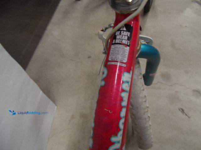 Lot 49-1806210 - 1 Dyna Craft 8113-56WA Girls Bicycle Dyna Craft 20" Girls Bike Used In Rough Condition, Both Tires N...