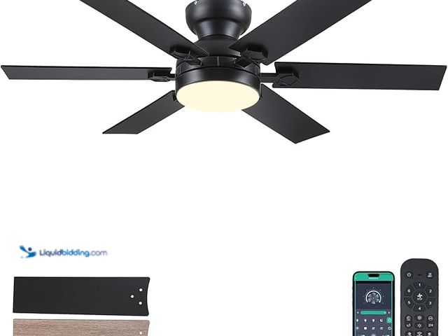 Lot 49-5446729 - 46" Low Profile Ceiling Fans with Lights and Remote,Black Indoor Ceiling Fans with Quiet Reversible ...