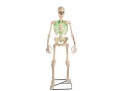 Lot 49-1542454 - undefined