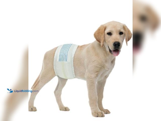 Lot 49-1517458 - (2) BV Dog Diapers Male Medium (Waist 13-23in) Super Absorbent - 50 Count Disposable - Doggie Diaper...