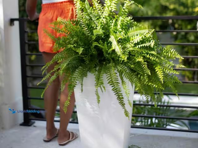 Lot 49-2000251 - (2-Pack) Bloem Finley 25 in. H Casper White Resin Square Indoor/Outdoor Floor Planter, Model # FPS25...