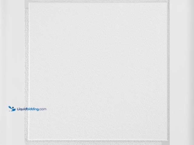 Lot 49-3513442 - Armstrong CEILINGS Washable White 1 ft. x 1 ft. Clip Up or Glue Up Ceiling Tile (40 sq. ft./case) [M...