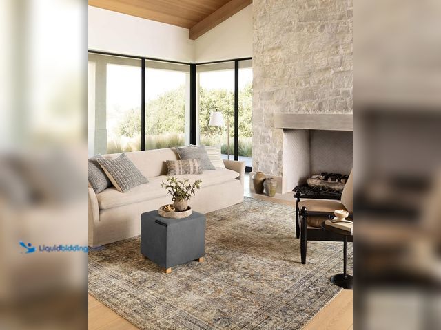 Lot 49-3531801 - Loloi Amber Lewis Morgan Collection MOG-01 Sunset/Ink 7'-3" x 9'-3" 38" Thick Area Rug feat. CloudPi...