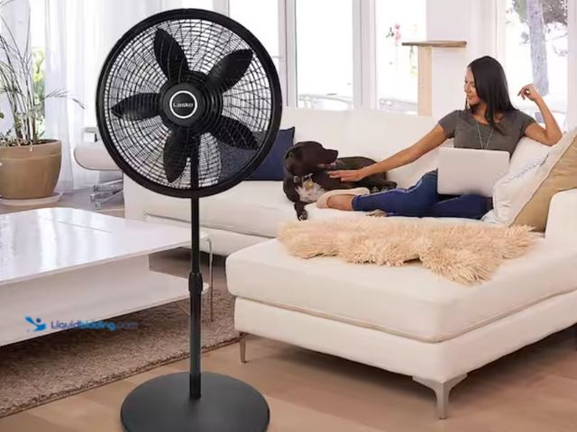 Lot 49-2005653 - Lasko Cyclone 18 in. 3 Speed Oscillating Pedestal Fan for Home in Black with Adjustable Height, Tilt...