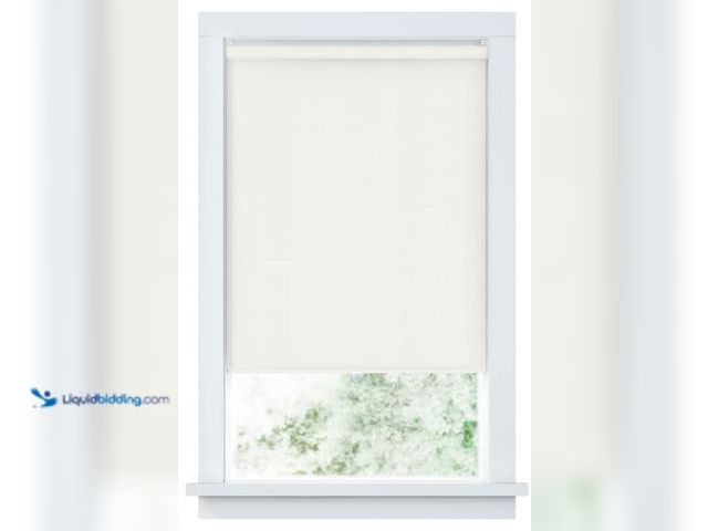 Lot 49-1549459 - LEVOLOR Basics Cordless Fabric Roller Shade, Easy to Install Blackout Shades for Windows, Neutral Wh...