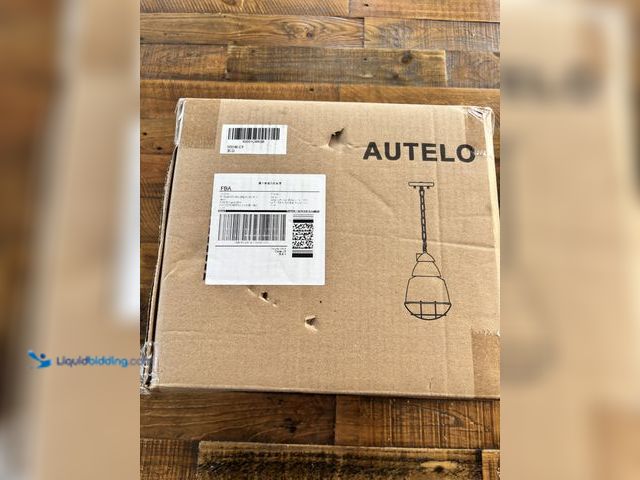 Lot 49-1976714 - New AUTELO Pendant Light Fixture