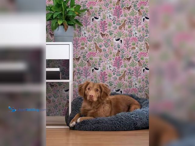 Lot 49-2003638 - Approx (123) sq. ft. of PRINTFRESH 216 in. x 20.5 in. Pink Must Love Dogs Peel and Stick Wallpaper, ...