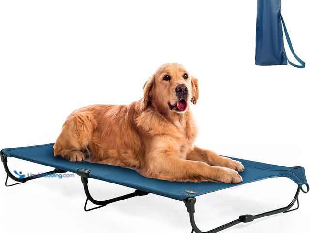 Lot 49-5410286 - Folding Raised Dog Bed, Large Outdoor Elevated Dog Cot, Cooling Chew Proof Pet Cots Bed, Portable, H...