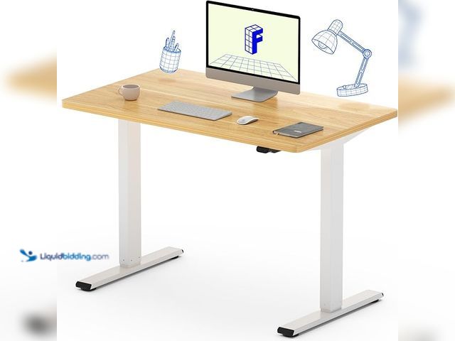 Lot 49-1556378 - FLEXISPOT E1 Electric Standing Desk Whole Piece 40 x 24 Inch Desktop Adjustable Height Desk Home Off...