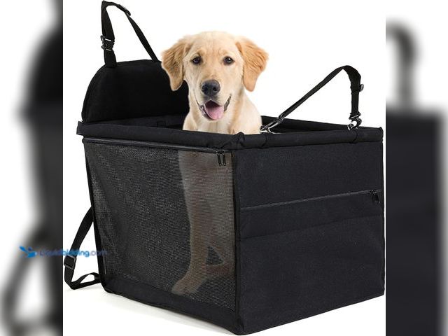 Lot 49-3531157 - Dog Car Seat for Medium Sized Dog, Booster Car Seat with Clip-On Safety Leash, Fits Both Front and R...