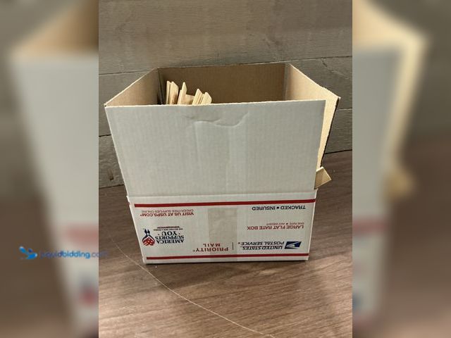 Lot 49-5413781 - BOX OF 100 PAINT STIR STICKS (UNUSED) NO FACTORY IMAGE
