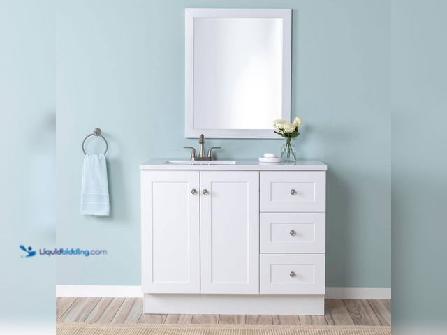 Lot 49-5416241 - Glacier Bay Bannister 43 in. Single Sink White Bath Vanity with Granite-Look Colorpoint White Cultur...