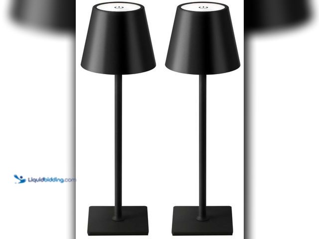 Lot 49-5436500 - KDG 2 Pack Cordless Table Lamp, Portable LED Desk Lamps, 5000mAh Battery Operated, 3 Color Stepless ...