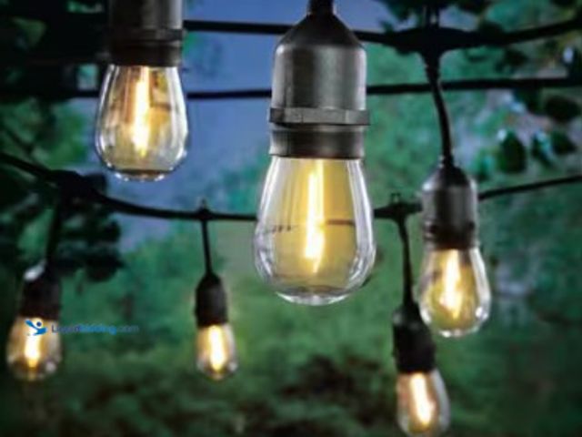Lot 49-2025418 - Lot of (2) Hampton Bay 24-Light 48 ft. Indoor/Outdoor Plug-In Filament LED S14 Edison Bulb String-Li...
