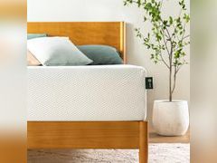 Lot 49-5452090 - undefined