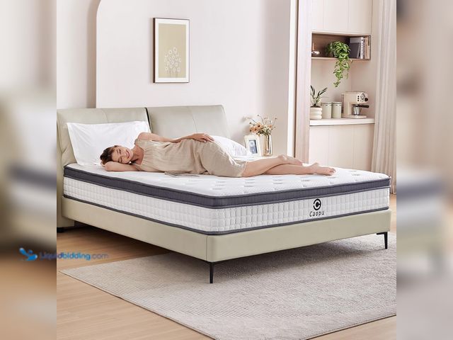 Lot 49-5416516 - Queen Mattress, 10 inch Hybrid Mattress Queen Size in a Box, Medium Firm, Pressure Relief & Motion I...