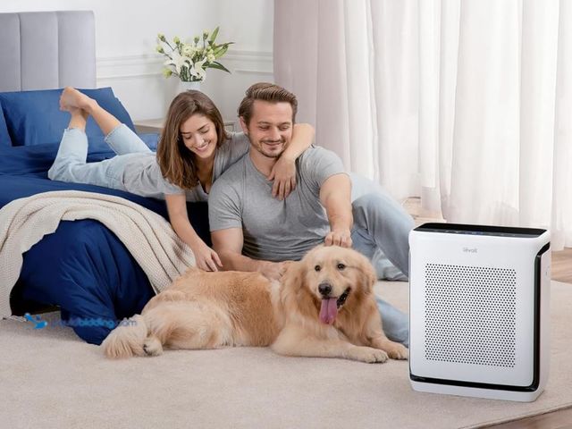 Lot 49-2026342 - LEVOIT Smart Air Purifier for Home Large Room up to 1875 Ft² Vital 200S-P. Model # B0BGPF71Q6. MSRP:...