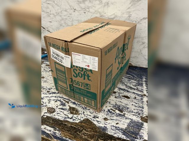 Lot 49-5546133 - angel soft 18 mega rolls (320 sheets per roll) New