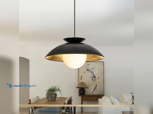 Lot 49-5477865 - RRTYO
Paquette 1-Light Black/Gold Leaf Farmhouse Wood Bowl Dome Opal Glass Bubble Pendant Light wit...