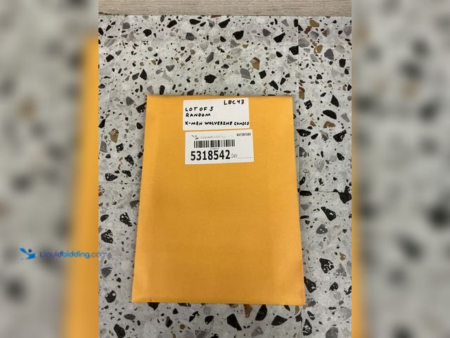 Lot 49-5489311 - Lot of 5 Random Marvel X-Men Wolverine Comics. Unused.