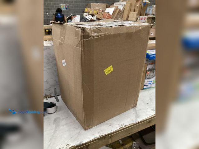 Lot 49-5542856 - Bluey Foam Pillow Unused