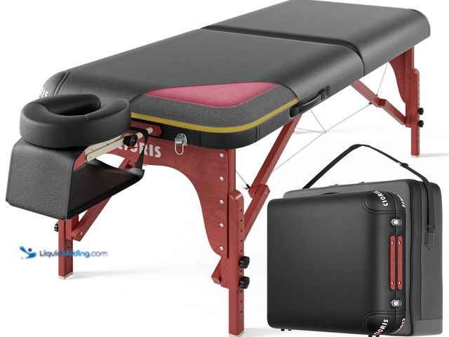 Lot 49-5485113 - CLORIS 84" Luxury Massage Table Portable 2 Folding Lightweight Facial Salon Spa Tattoo Bed Height Ad...