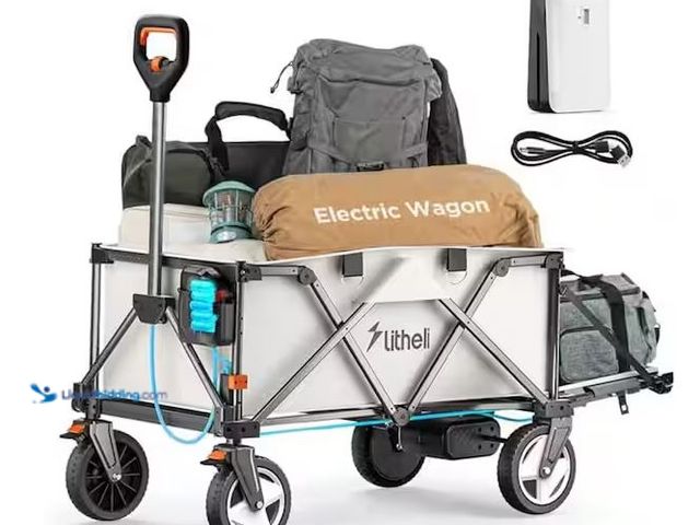 Lot 49-5486874 - LiTHELi
5.8 cu.ft. Electric Metal Utility Garden Cart - Powered Cart with Foldable Design Internet ...