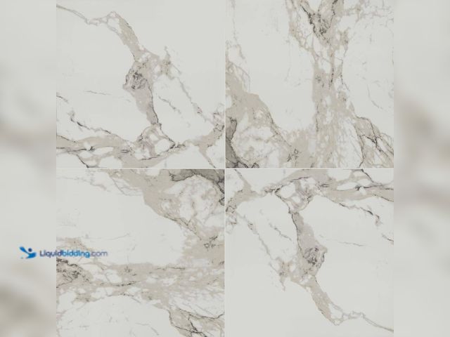 Lot 49-5580767 - Approx 335 sq.ft. Home Decorators Collection
Crystal Bianco 32 in. x 32 in. Polished Porcelain Marb...