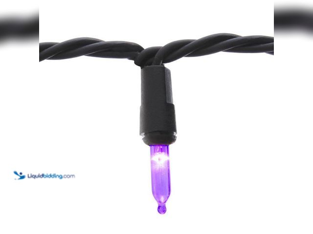 Lot 49-5435981 - Home Accents Holiday
100 Purple Mini LED Lights (4pack) Unused