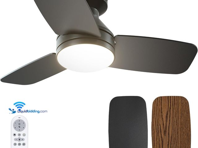Lot 49-5459408 - Amico Ceiling Fans with Lights, 30 inch Low Profile Ceiling fan with Light and Remote Control, Flush...
