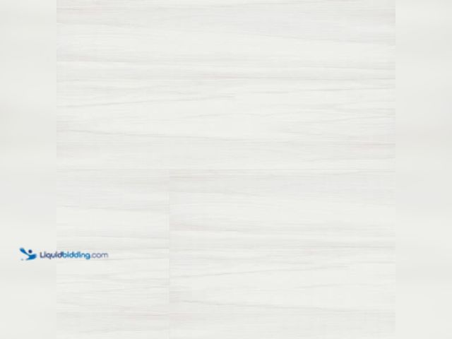 Lot 49-5454054 - MSI
Bianco Dolomite 24 in. x 48 in. Polished Porcelain Marble Look Floor and Wall Tile (16 sq. ft. ...